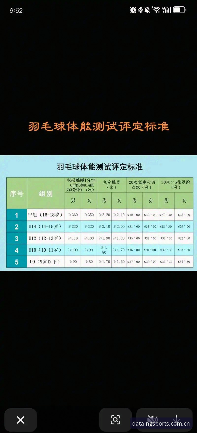 NG体育赛事查询教程深度评测：从新手到老鸟的完整体验报告